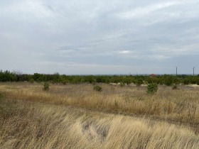 Парцел с. Брестник, област Пловдив