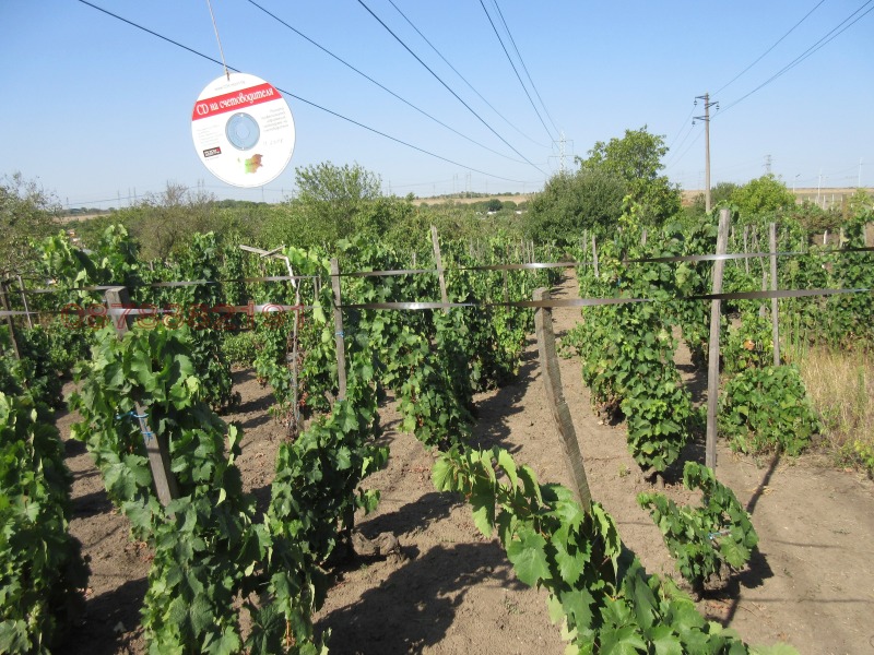 Zu verkaufen  Handlung region Varna , Ezerowo , 1385 qm | 45317468 - Bild [3]