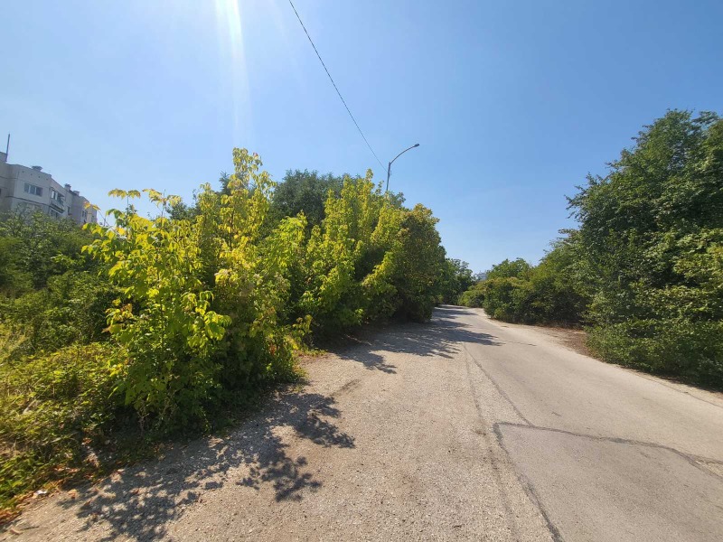 Satılık  Komplo Pleven , Drujba 3 , 3600 metrekare | 88305482 - görüntü [12]