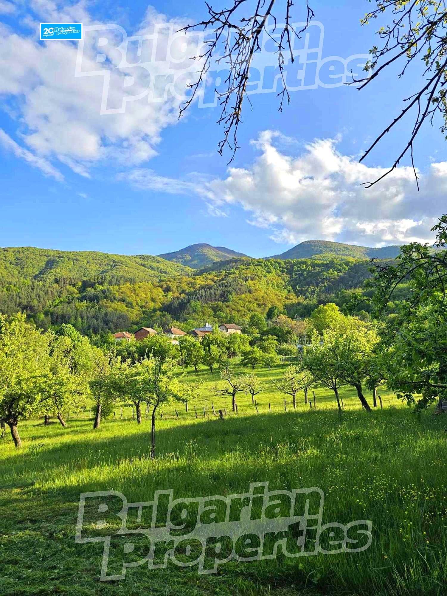 Продава ПАРЦЕЛ, с. Жиленци, област Кюстендил, снимка 5 - Парцели - 45630701