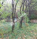 Продава КЪЩА, с. Дъскот, област Велико Търново, снимка 8