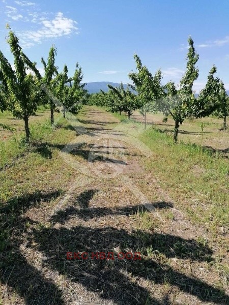 Na prodej  Spiknutí oblast Plovdiv , Joakim Gruevo , 23000 m2 | 94454789