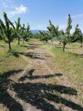 Продава ПАРЦЕЛ, област Пловдив, с. Йоаким Груево • 49000 € • 33055731 — Holmes.bg