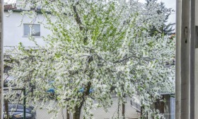 ������� ���� �� ���� | Imot.bg � ����� ������ 11