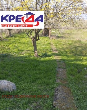 ����� ������� ����,�. ���������, ������ ��������