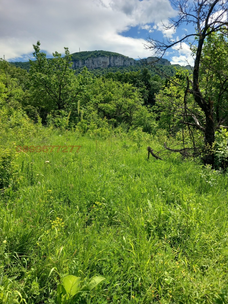 Продава КЪЩА, гр. Враца, Студентски град, снимка 2 - Къщи - 53248093