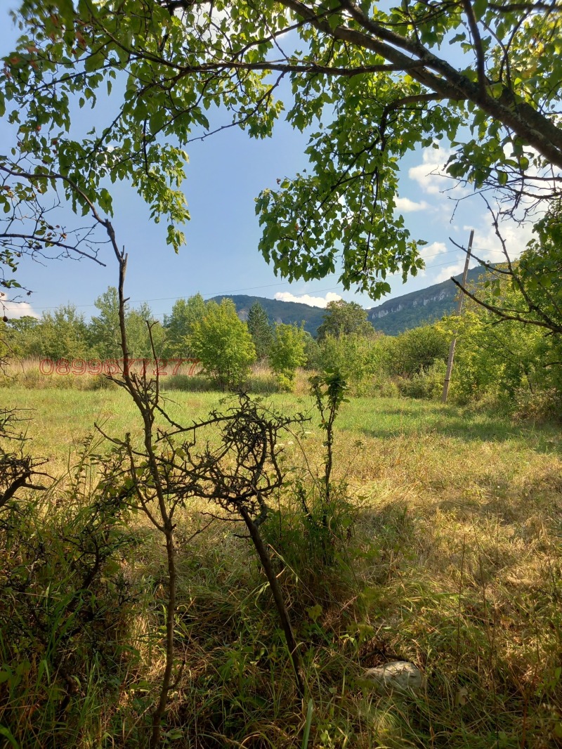 Продава КЪЩА, гр. Враца, Студентски град, снимка 14 - Къщи - 53248093