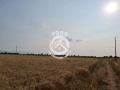 Продава ПАРЦЕЛ, с. Труд, област Пловдив, снимка 6
