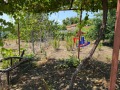 Продава  Къща област Шумен , с. Мараш , 107 кв.м | 71946418 - изображение [9]