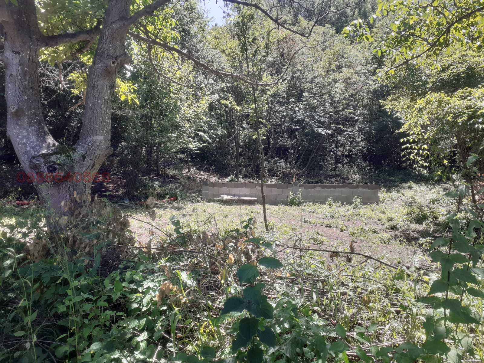 ������� ������ | Imot.bg � ����������� 1