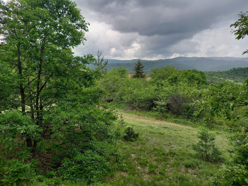 Til salg  Grund region Burgas , Bata , 800 kvm | 46451370