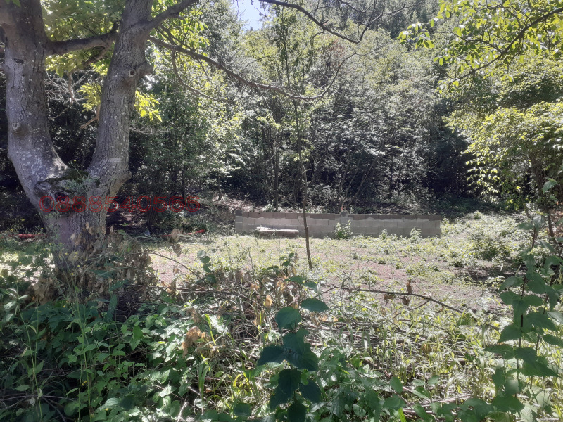 Продава ПАРЦЕЛ, с. Руен, област Пловдив