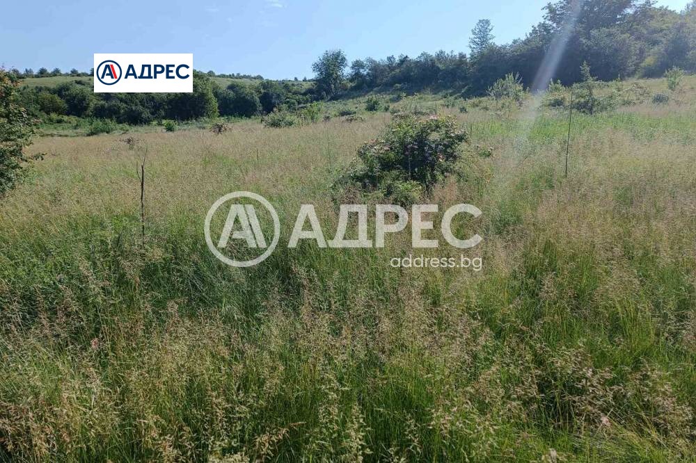 ������� ������ | Imot.bg � ����������� 2