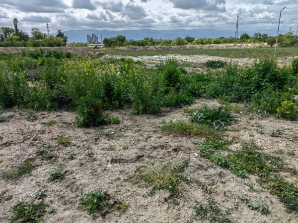 Te koop  Verhaallijn regio Plovdiv , Rogosj , 9187 m² | 26385699 - afbeelding [2]