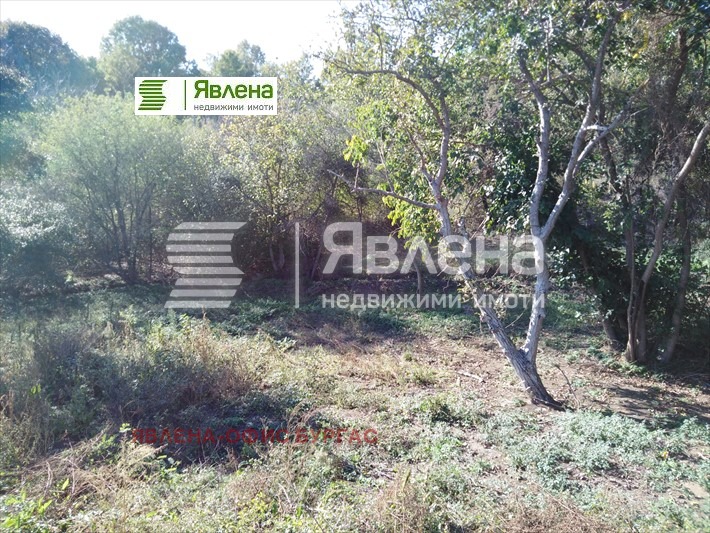 For Sale  Plot region Burgas , Izgrev , 1480 sq.m | 47336239 - image [5]