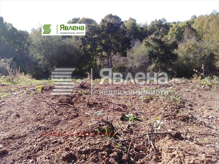 For Sale  Plot region Burgas , Izgrev , 1480 sq.m | 47336239 - image [11]