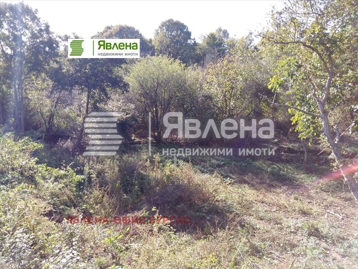 For Sale  Plot region Burgas , Izgrev , 1480 sq.m | 47336239 - image [6]