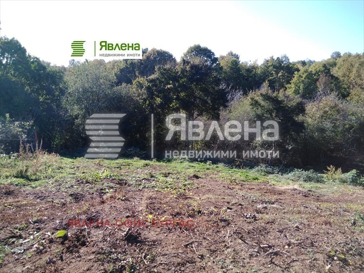 For Sale  Plot region Burgas , Izgrev , 1480 sq.m | 47336239 - image [10]