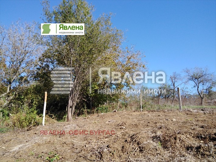For Sale  Plot region Burgas , Izgrev , 1480 sq.m | 47336239 - image [8]
