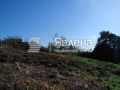 Продава ПАРЦЕЛ, област Бургас, с. Изгрев • 55000 € / 107570.65 лв. • 94827941 7