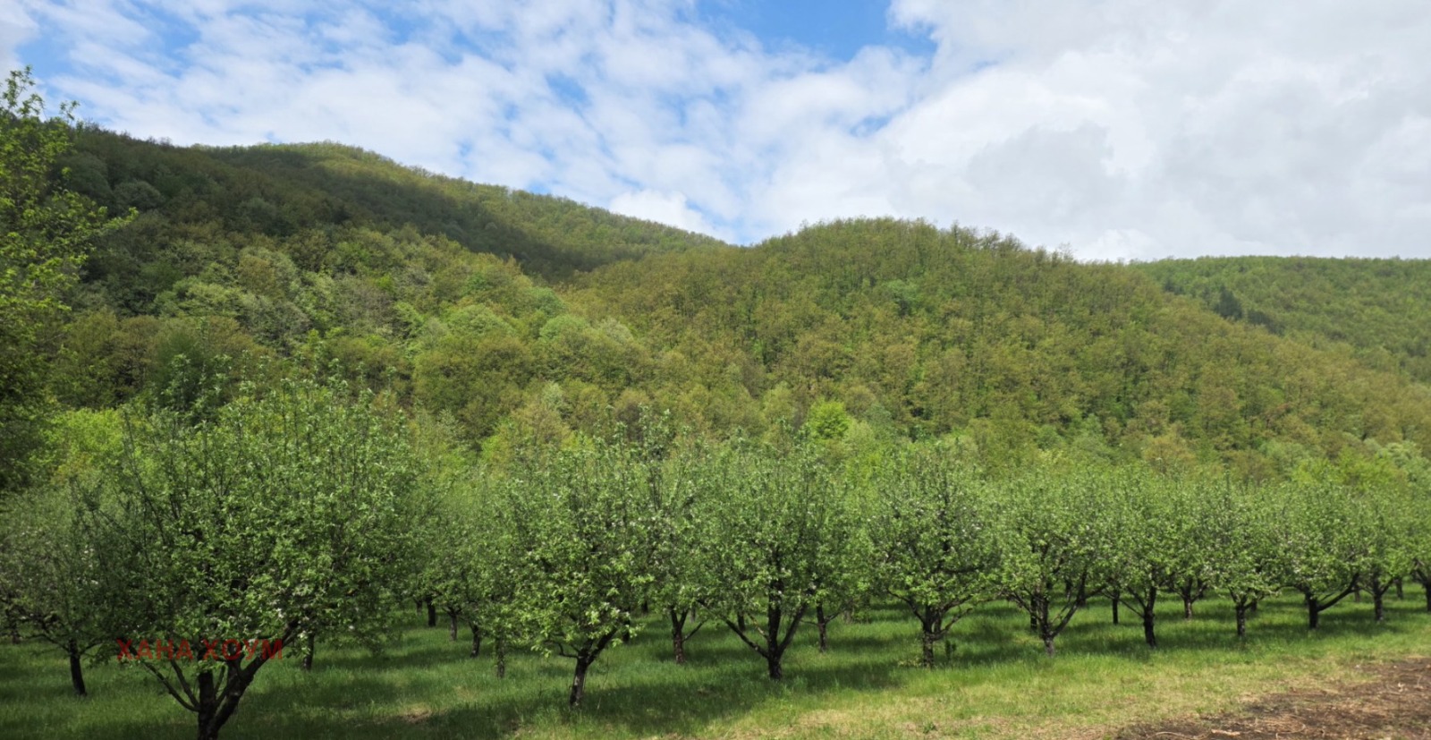 ������� ������ | Imot.bg � ����������� 2