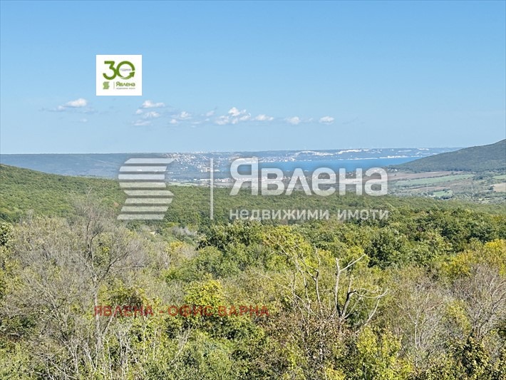 Продава КЪЩА, с. Осеново, област Варна, снимка 5 - Къщи - 49365532