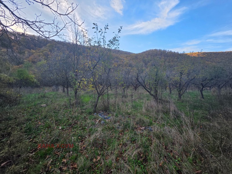 Продава ПАРЦЕЛ, гр. Троян, област Ловеч, снимка 14 - Парцели - 51784646