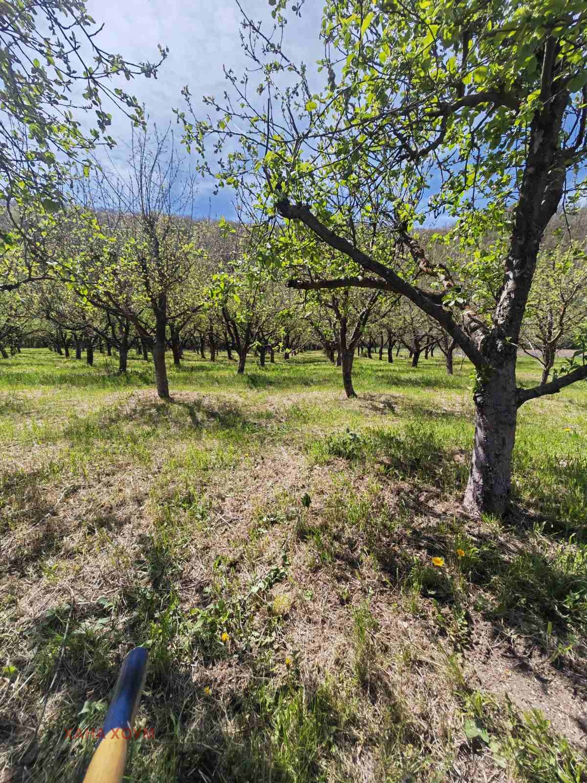 Продава ПАРЦЕЛ, гр. Троян, област Ловеч, снимка 7 - Парцели - 51784646