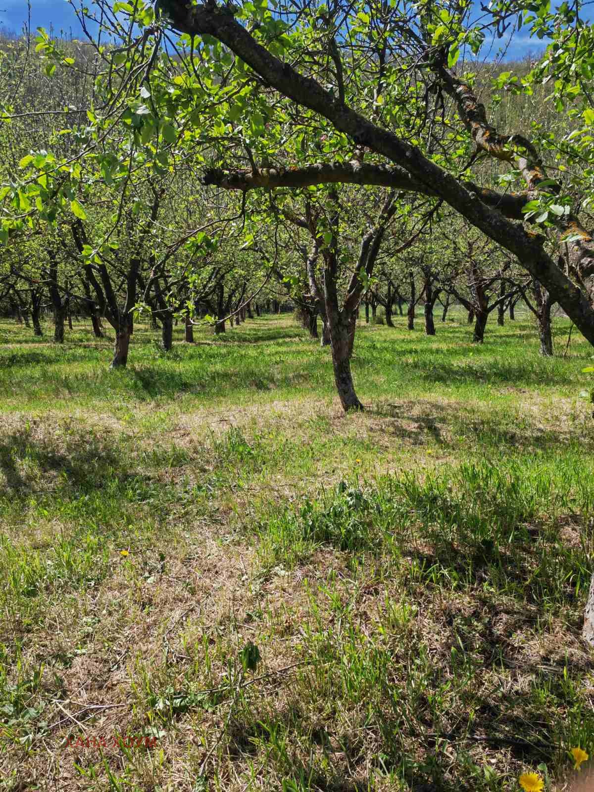 Продава ПАРЦЕЛ, гр. Троян, област Ловеч, снимка 9 - Парцели - 51784646