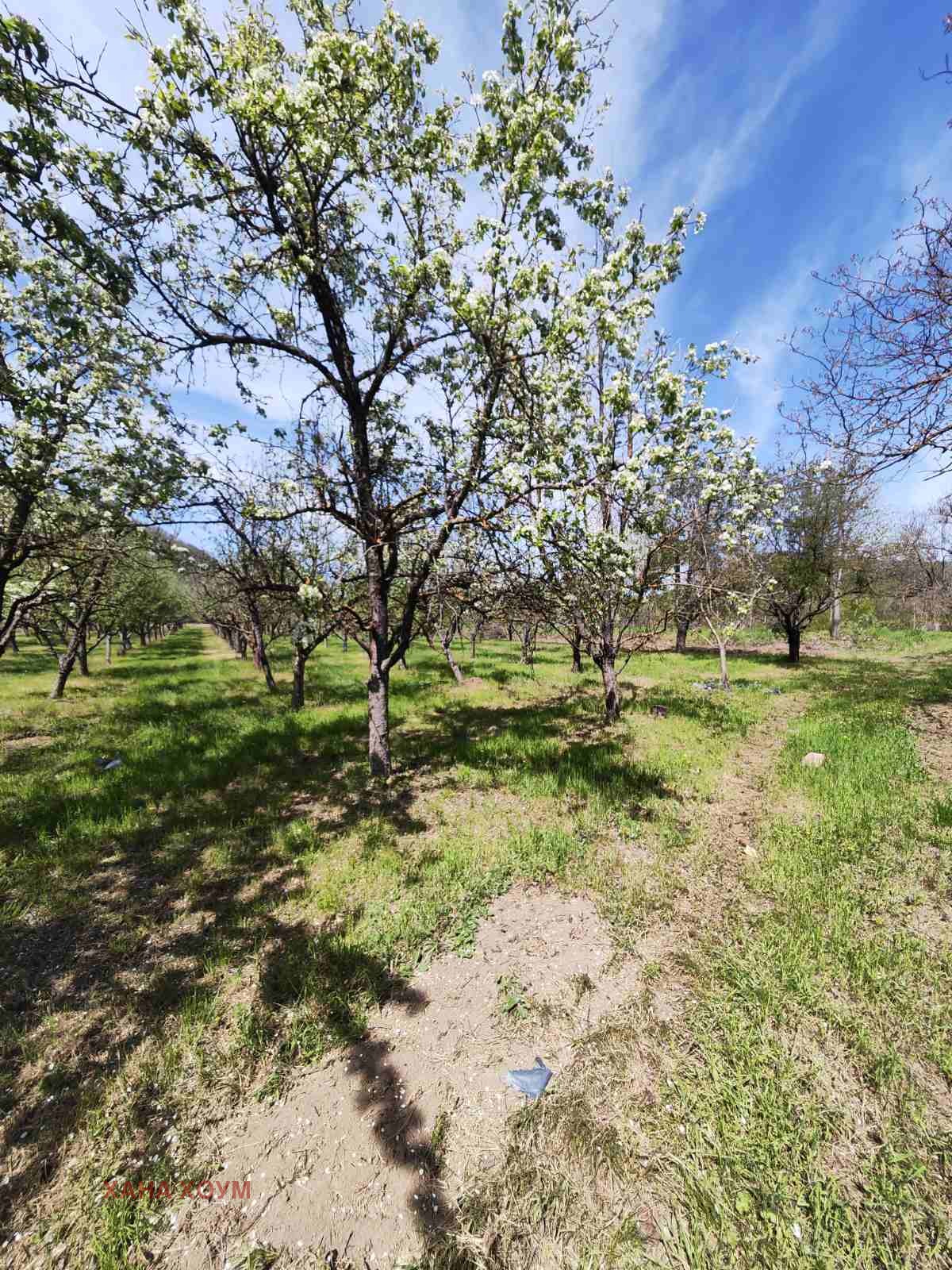 Продава ПАРЦЕЛ, гр. Троян, област Ловеч, снимка 5 - Парцели - 51784646