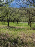 Продава ПАРЦЕЛ, гр. Троян, област Ловеч, снимка 11