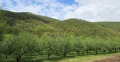 Продава ПАРЦЕЛ, гр. Троян, област Ловеч, снимка 2
