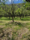 Продава ПАРЦЕЛ, гр. Троян, област Ловеч, снимка 12