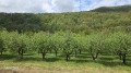 Продава ПАРЦЕЛ, гр. Троян, област Ловеч, снимка 1