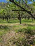 Продава ПАРЦЕЛ, гр. Троян, област Ловеч, снимка 9