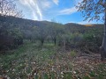 Продава ПАРЦЕЛ, гр. Троян, област Ловеч, снимка 13