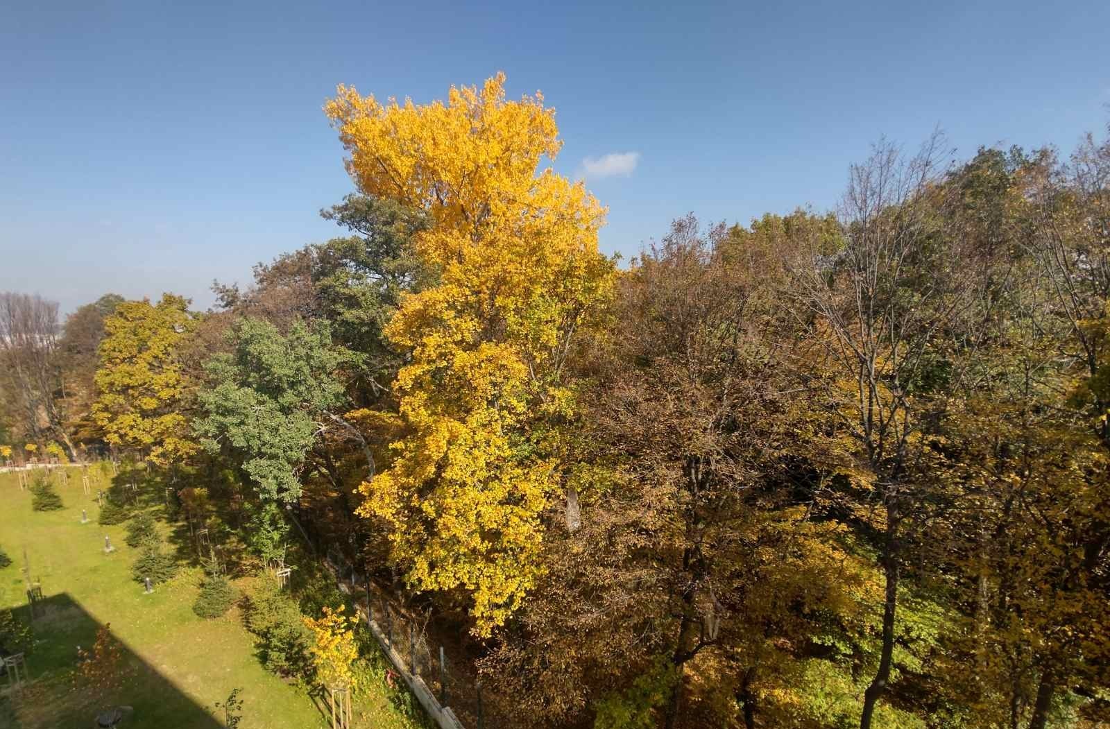 ������� 3-����� | Imot.bg � ����������� 11