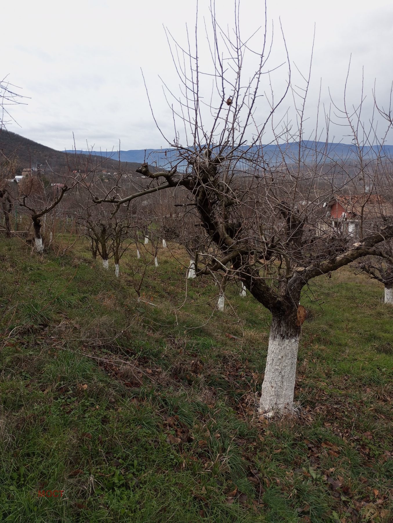 ������� ���� | Imot.bg � ����������� 16