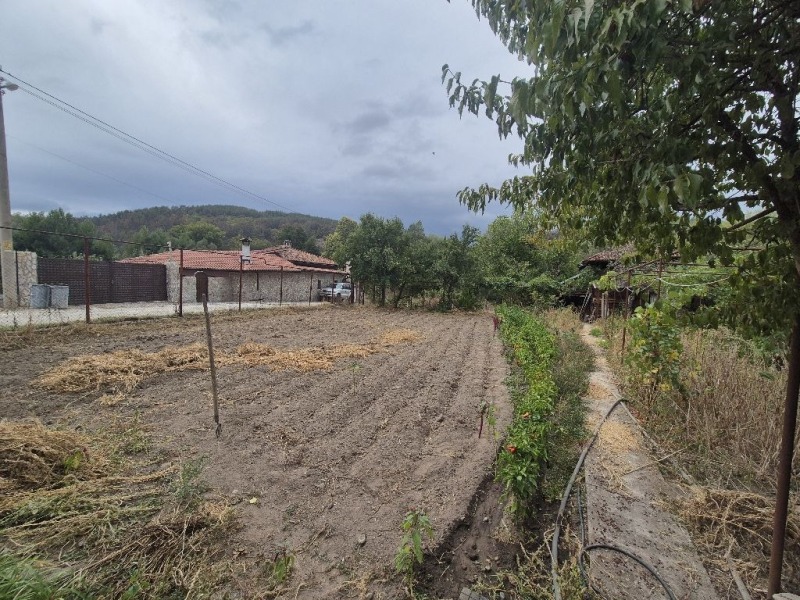 На продаж  Будинок область Пазарджик , Панагюрище , 95 кв.м | 41265769 - зображення [5]