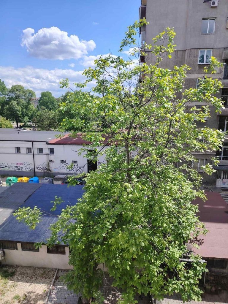 À venda  2 quartos Sofia , Oborichtche , 117 m² | 78873865 - imagem [2]