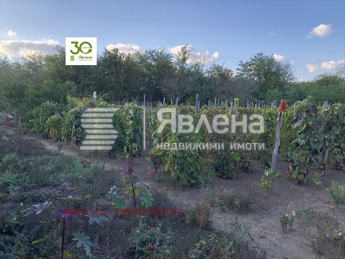 Продава КЪЩА, с. Видно, област Добрич, снимка 2 - Къщи - 47454840