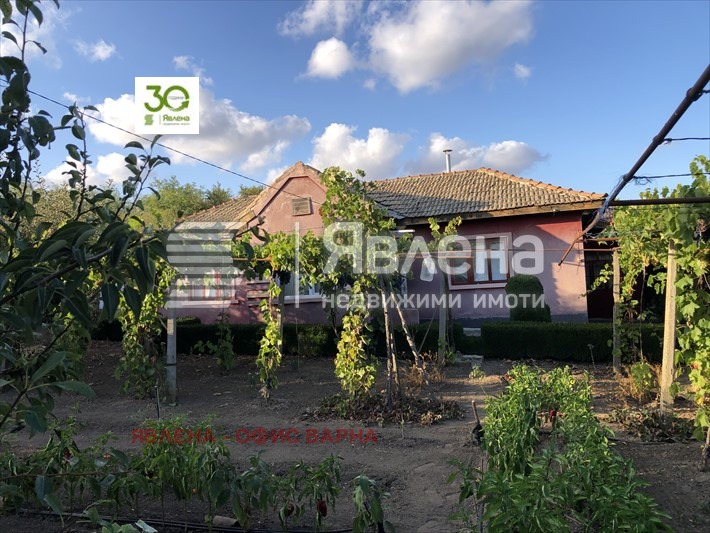 Продава КЪЩА, с. Видно, област Добрич, снимка 1 - Къщи - 47454840