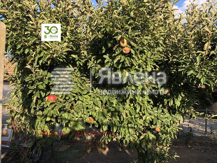 Продава КЪЩА, с. Видно, област Добрич, снимка 7 - Къщи - 47454840