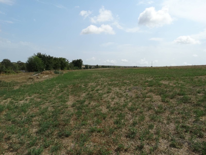 À vendre  Parcelle région Varna , Klimentovo , 1000 m² | 43928251 - image [3]