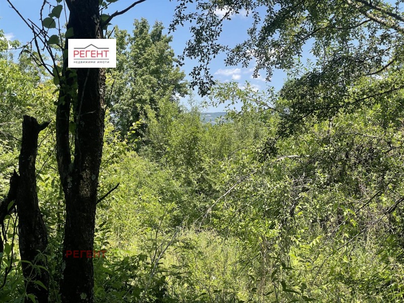 Продава  Парцел, област Габрово, с. Гарван • 30 000 лв. • ID 35639450 — holmes.bg - [1] 