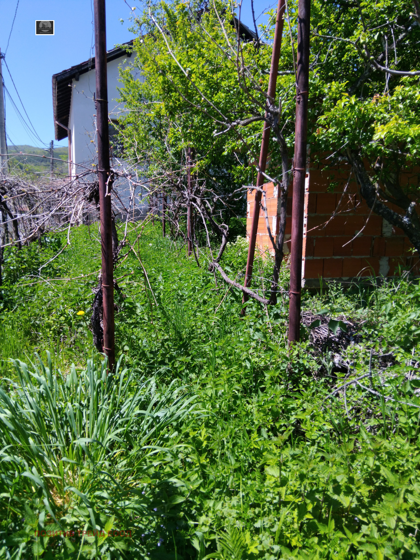 Продава КЪЩА, с. Мала Фуча, област Кюстендил, снимка 6 - Къщи - 54334757