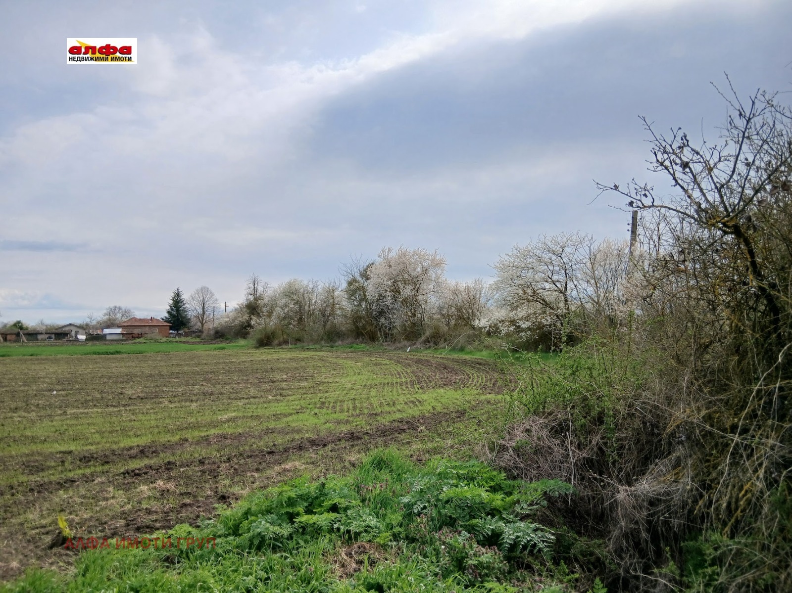 Продава ПАРЦЕЛ, с. Безводица, област Добрич