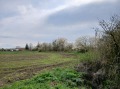 Продава ПАРЦЕЛ, с. Безводица, област Добрич, снимка 1