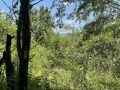 Продава ПАРЦЕЛ, област Габрово, с. Гарван • 30000 лв. • 35639450 — Holmes.bg
