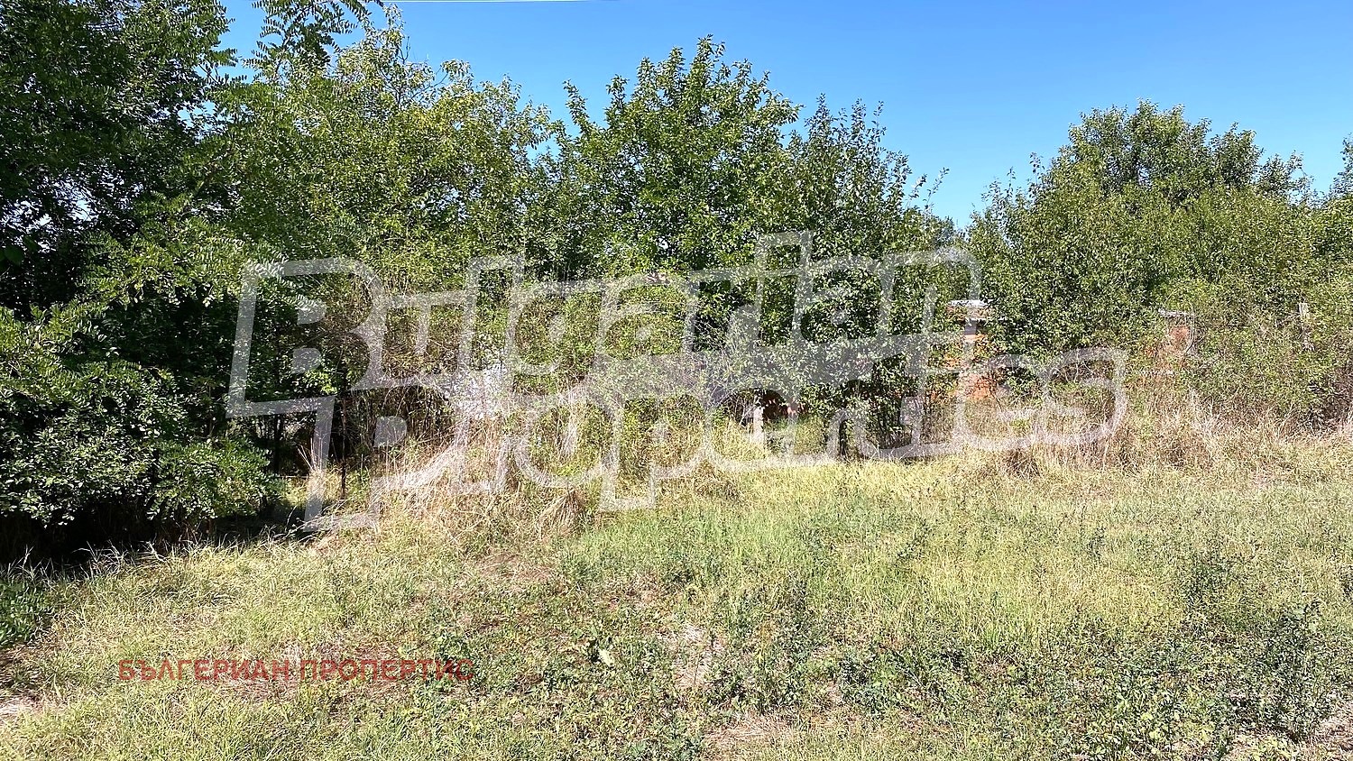 Продава ПАРЦЕЛ, с. Бяло поле, област Стара Загора, снимка 5 - Парцели - 55728039